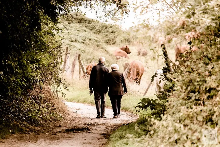 Wandel mee met de stiltewandeling