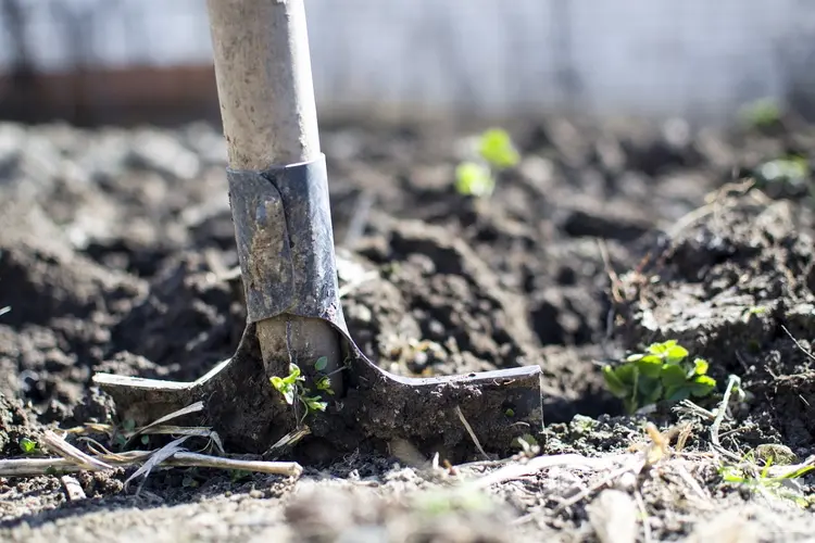 Plantdag gedenkbomenbos op zaterdag 19 november